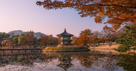 Chuseok: Korean Thanksgiving and the Legacy of Tradition