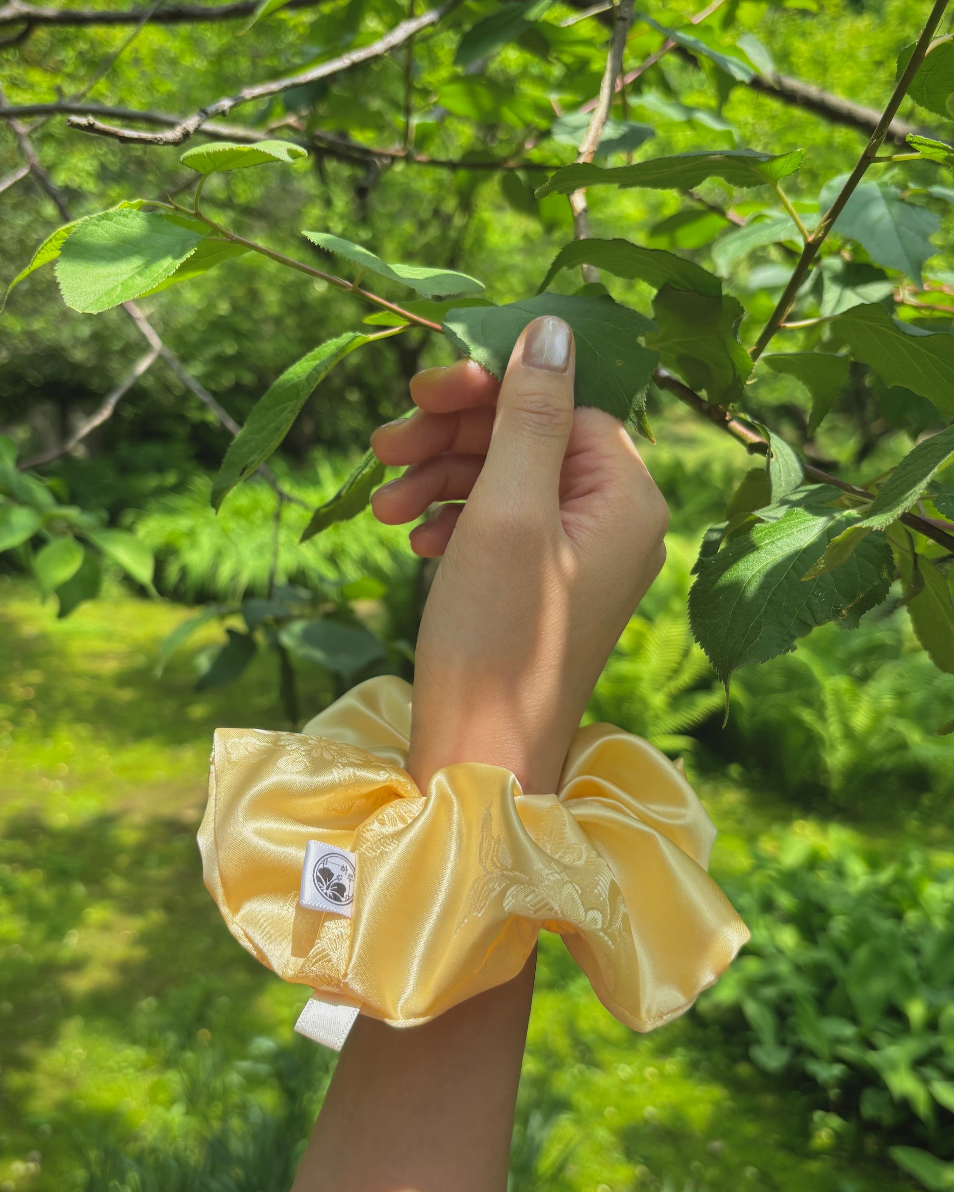 Hand holding a yellow hanbok scrunchie with green foliage in the background